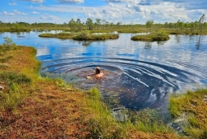 Ķemeri Bogs Adventure: Explore Wetlands In Bog Shoes