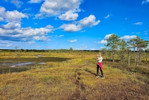 Ķemeri Bogs Adventure: Explore Wetlands In Bog Shoes