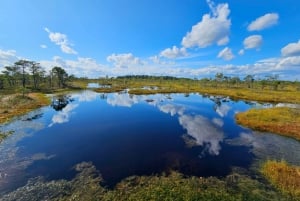 Ķemeri Bogs Adventure: Explore Wetlands In Bog Shoes