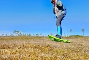 Ķemeri Bogs Adventure: Utforsk våtmarksområder i myrsko