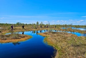 Ķemeri Bogs Adventure: Utforsk våtmarksområder i myrsko