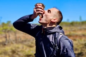 Ķemeri Bogs Adventure: Utforsk våtmarksområder i myrsko