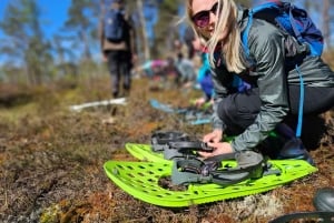 Ķemeri Bogs Adventure: Utforsk våtmarksområder i myrsko