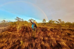 Ķemeri Bogs Adventure: Utforsk våtmarksområder i myrsko