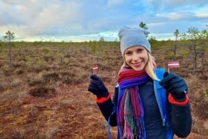Ķemeri Bogs Adventure: Utforsk våtmarksområder i myrsko