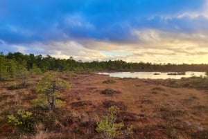 Ķemeri Bogs Adventure: Utforsk våtmarksområder i myrsko