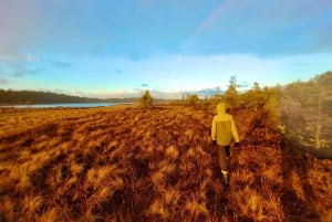 Ķemeri Bogs Adventure: Utforsk våtmarksområder i myrsko