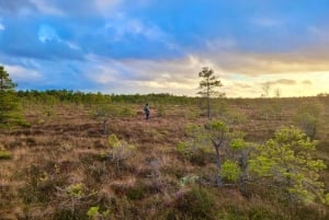 Ķemeri Bogs Adventure: Utforsk våtmarksområder i myrsko