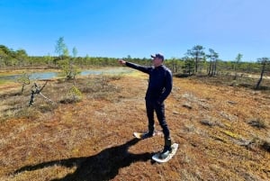Ķemeri Bogs Adventure: Utforsk våtmarksområder i myrsko