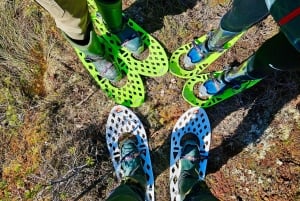 Ķemeri Bogs Adventure: Utforsk våtmarksområder i myrsko