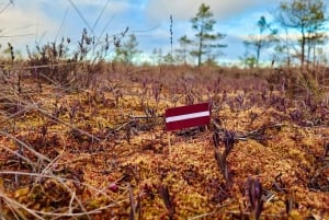 Ķemeri Bogs Adventure: Utforsk våtmarksområder i myrsko