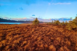 Ķemeri Bogs Adventure: Utforsk våtmarksområder i myrsko