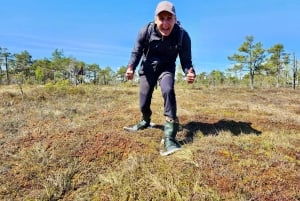 Ķemeri Bogs Adventure: Utforsk våtmarksområder i myrsko