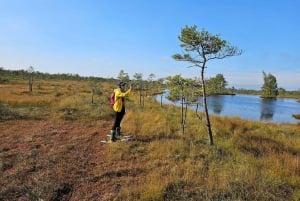 Ķemeri Bogs Adventure: Utforsk våtmarksområder i myrsko