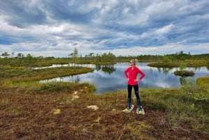Ķemeri Bogs Adventure: Utforsk våtmarksområder i myrsko
