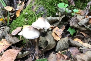 ケメリNパーク、ジュルマラ、メルネザー湖＆ホワイトキャッスルホテル