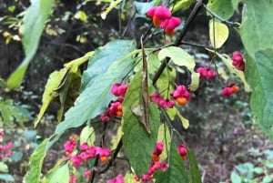 ケメリNパーク、ジュルマラ、メルネザー湖＆ホワイトキャッスルホテル