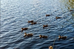 ケメリNパーク、ジュルマラ、メルネザー湖＆ホワイトキャッスルホテル