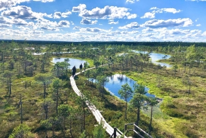 Kemeri N Park, Jurmala, Lake Melnezers & White Castle Hotel