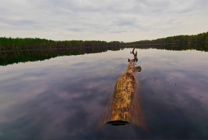 Kemeri N Park, Jurmala, Lake Melnezers & White Castle Hotel