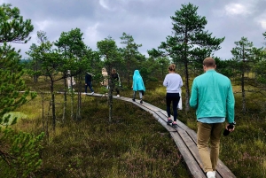 Kemeri N Park, Jurmala, Lake Melnezers & White Castle Hotel