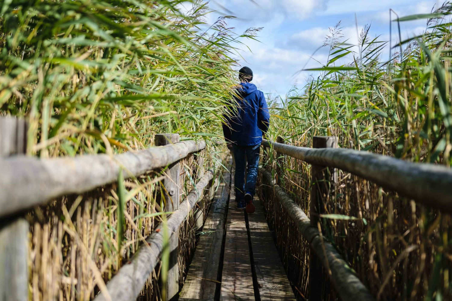 Kemeri nasjonalpark og Baltic Seaside Tour Bog Boardwalk