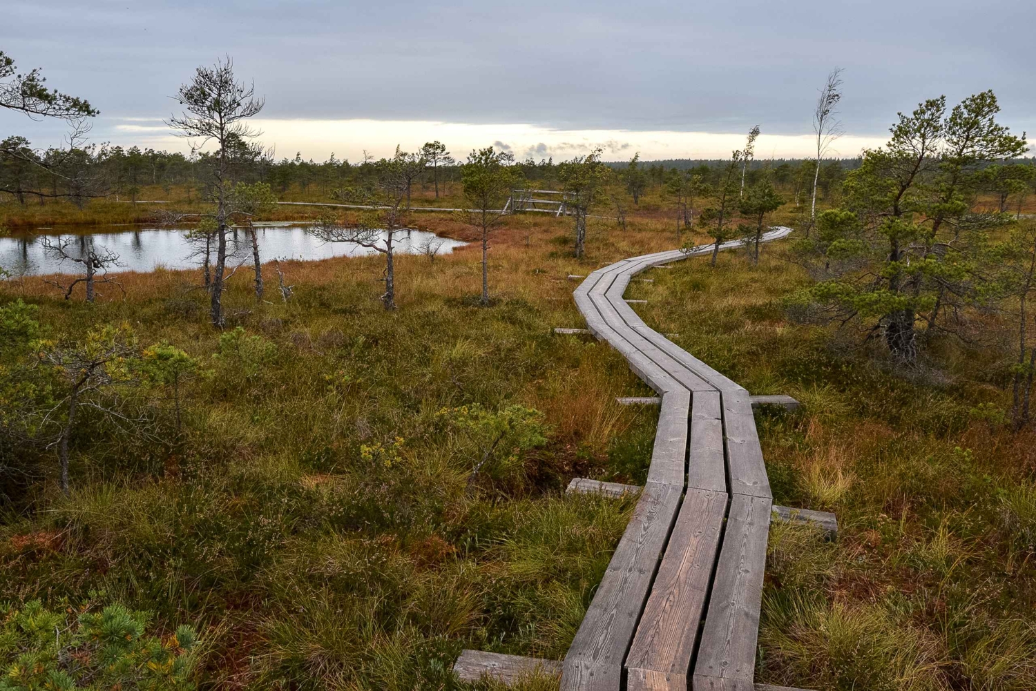 Kemeri nasjonalpark og Baltic Seaside Tour Bog Boardwalk