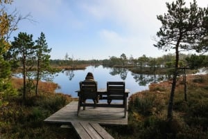 Kemeri National Park & Baltic Seaside Tour Bog Boardwalk