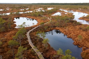 Kemeri nasjonalpark og Baltic Seaside Tour Bog Boardwalk