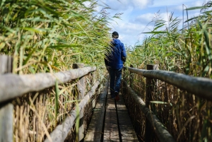 Kemeri nasjonalpark og Baltic Seaside Tour Bog Boardwalk