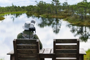 Kemeri nasjonalpark og Baltic Seaside Tour Bog Boardwalk