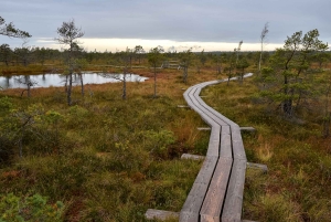 Kemeri nasjonalpark og Baltic Seaside Tour Bog Boardwalk