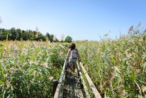 Kemeri nasjonalpark og Baltic Seaside Tour Bog Boardwalk