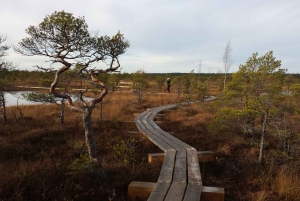 Kemeri nasjonalpark og Baltic Seaside Tour Bog Boardwalk