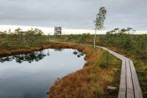 Kemeri nasjonalpark og Baltic Seaside Tour Bog Boardwalk