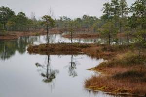Kemeri nasjonalpark og Baltic Seaside Tour Bog Boardwalk