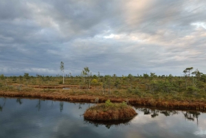 Kemeri nasjonalpark og Baltic Seaside Tour Bog Boardwalk