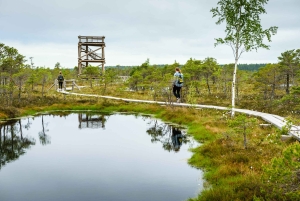 Kemeri nasjonalpark og Baltic Seaside Tour Bog Boardwalk