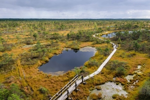 Kemeri nasjonalpark og Baltic Seaside Tour Bog Boardwalk