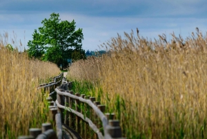 Kemeri nasjonalpark og Baltic Seaside Tour Bog Boardwalk