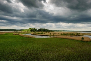 Kemeri nasjonalpark og Baltic Seaside Tour Bog Boardwalk