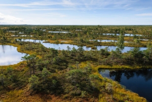 Kemeri nasjonalpark og Baltic Seaside Tour Bog Boardwalk