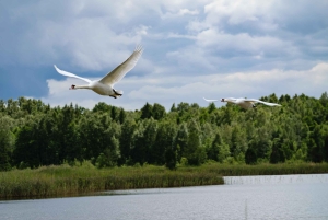 Kemeri nasjonalpark og Baltic Seaside Tour Bog Boardwalk