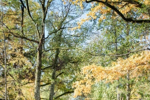Kemeri nasjonalpark og Baltic Seaside Tour Bog Boardwalk
