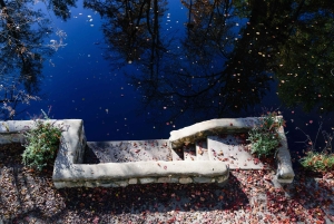 Kemeri nasjonalpark og Baltic Seaside Tour Bog Boardwalk