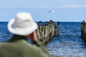 Kemeri nasjonalpark og Baltic Seaside Tour Bog Boardwalk