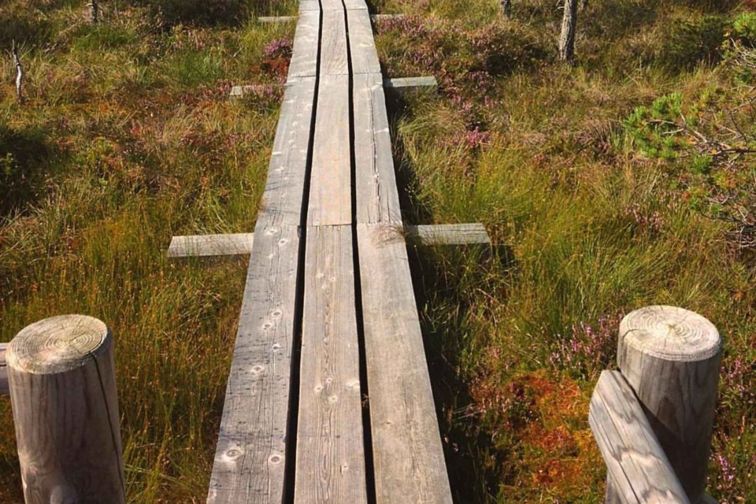 Guidad tur till nationalparken Kemeri