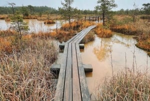 Kemeri National Park Guided Tour