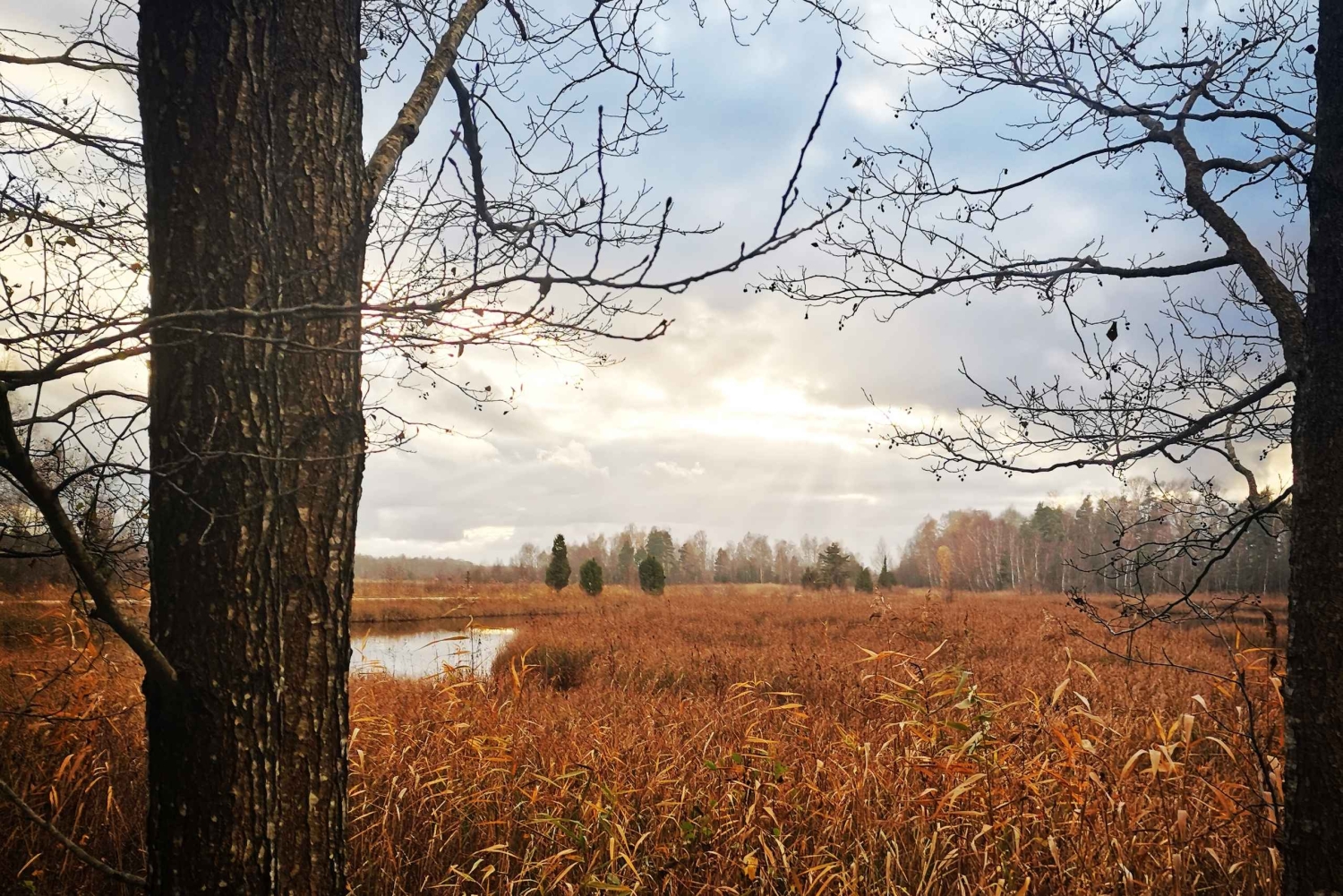Kemerin kansallispuiston ulkoilmakierros