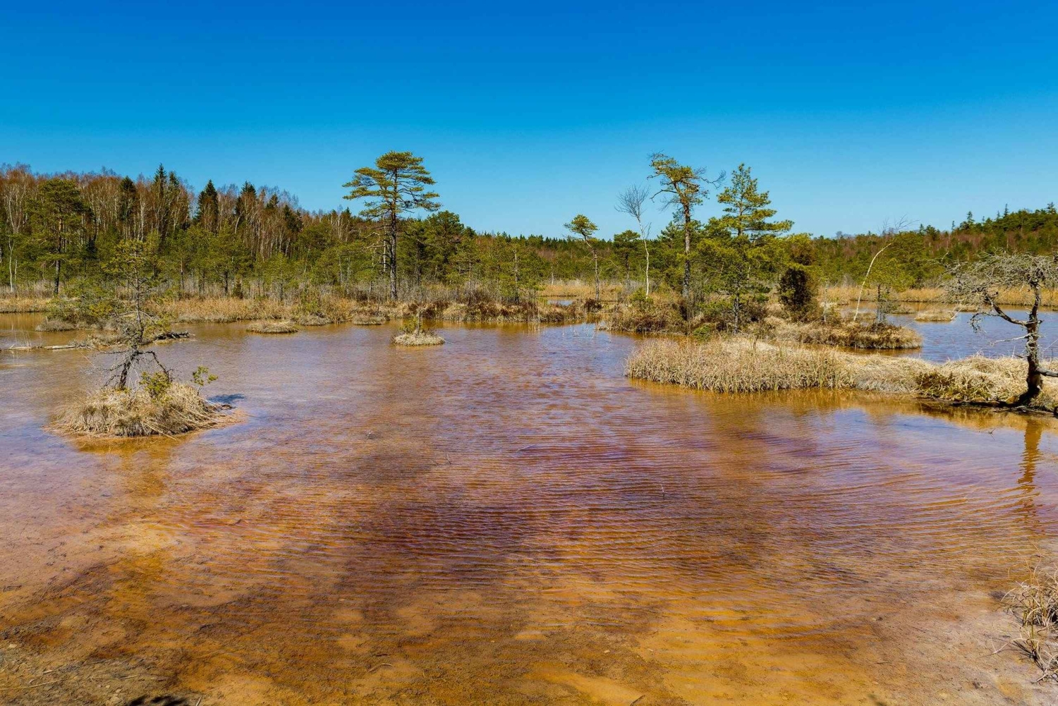 Kemerin kansallispuiston ulkoilmakierros